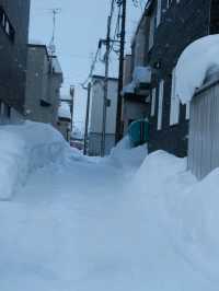 ❄️ Otaru in Winter | A Snow-Covered Fairytale