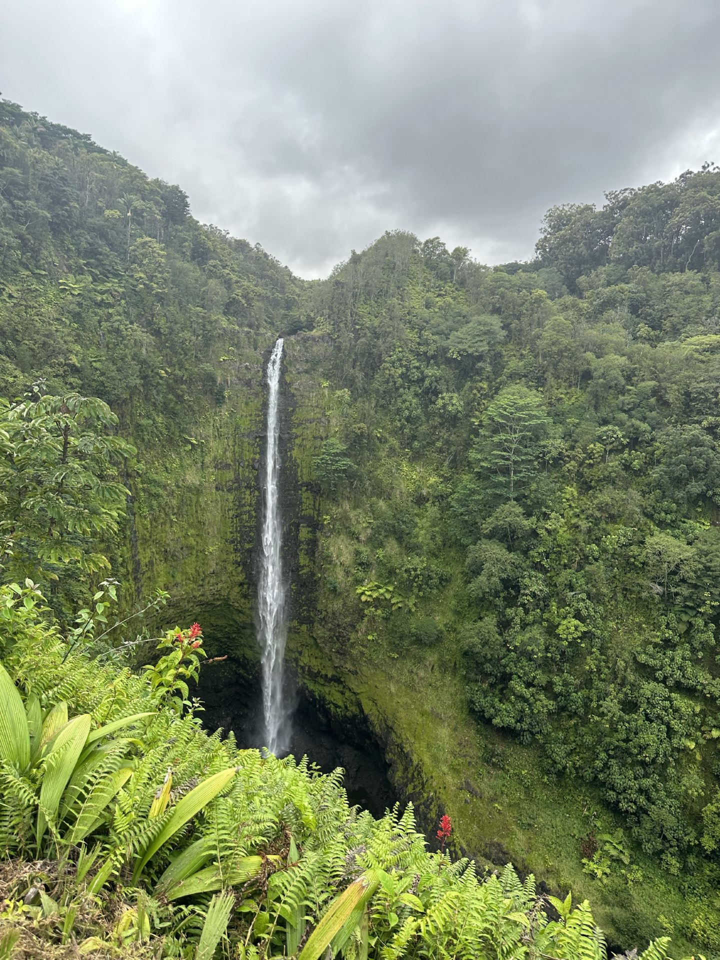 🌋 Hawaii’s Big Island – one of the most unique places I’ve explored! 🇺🇸