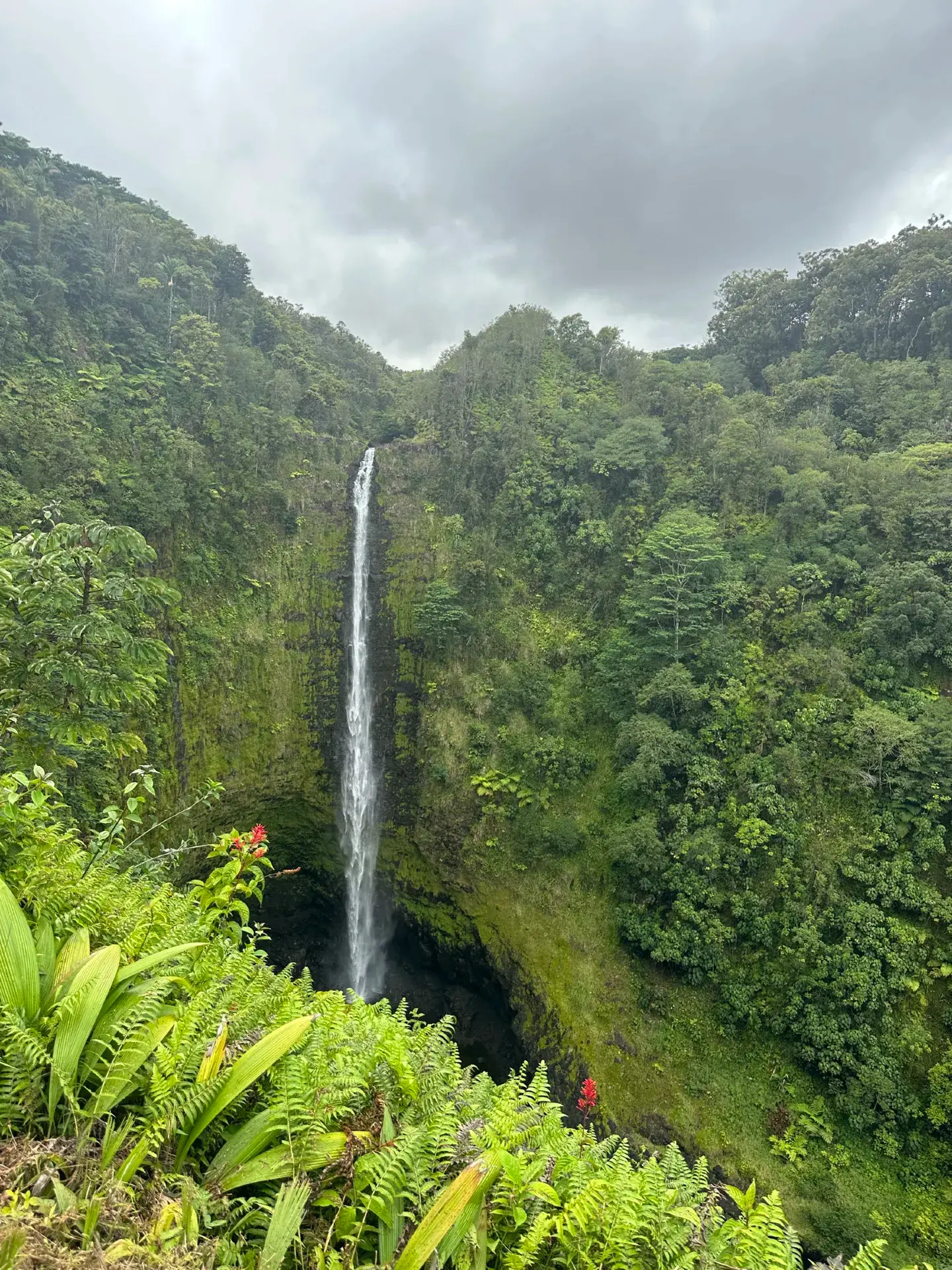 🌋 Hawaii’s Big Island – one of the most unique places I’ve explored! 🇺🇸