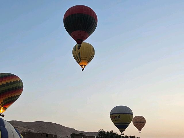 Hot Air Balloon in Luxor