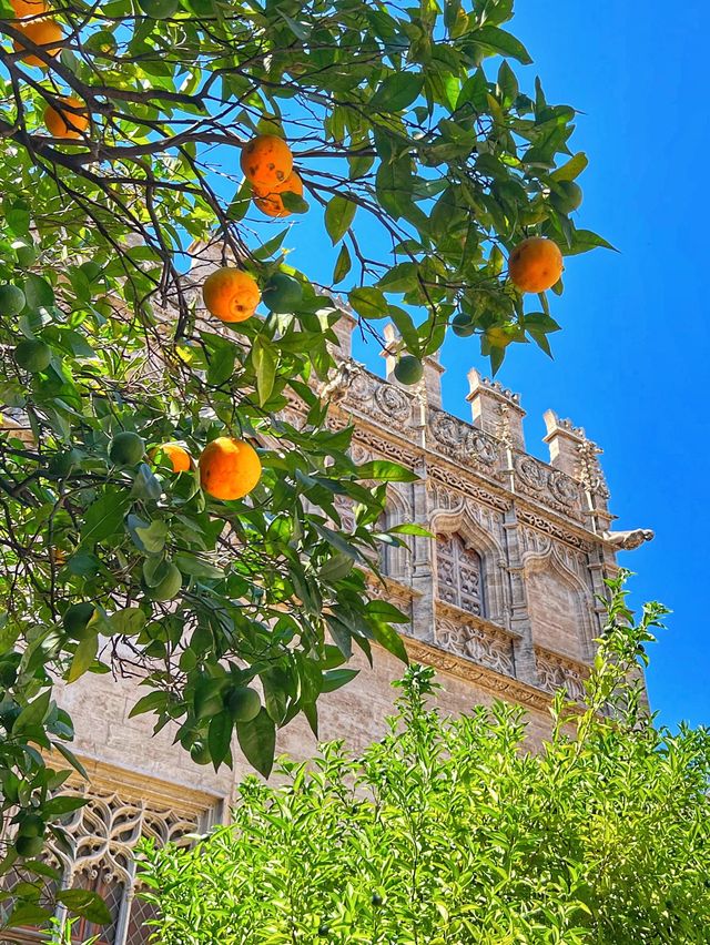 La Lonja - Valencia’s most beautiful spot