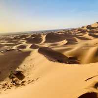 Incredible Sahara 🐪🌵 
