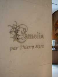 Paris | Have fun with friends in MO Paris with good service
