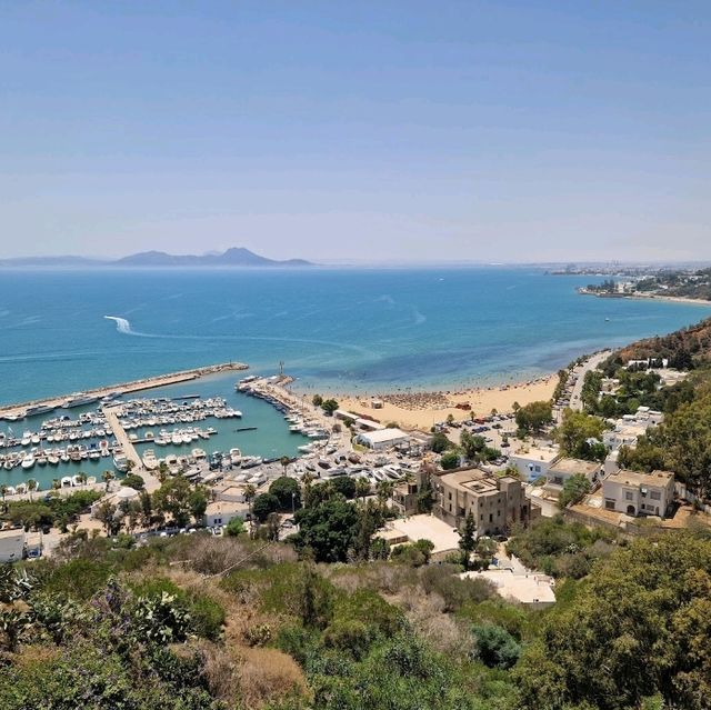 Breathtaking Views of Sidi Bou Said Beach 🌊✨