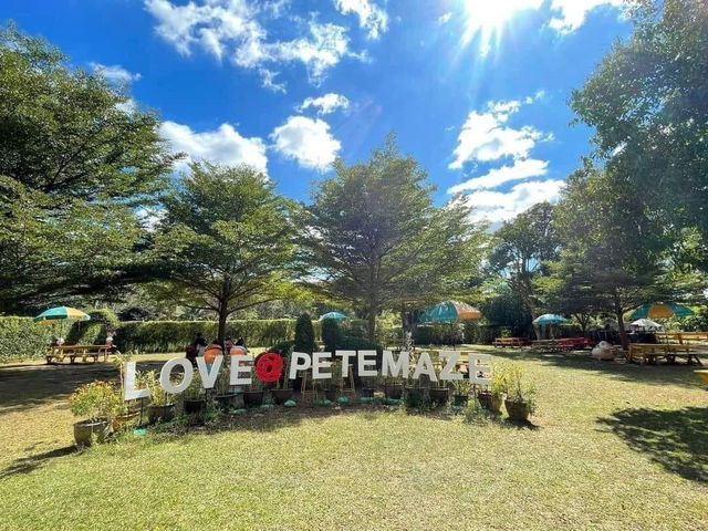 Pete Maze Thailand 🇹🇭 