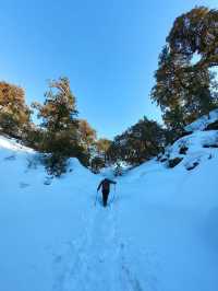 겨울에는 브라흐마탈(Brahmattal) 트레킹을 탐험해보세요 ❄️