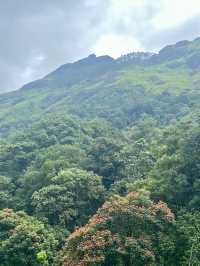 Munnar’s Misty Enchantment