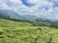 Seasonal Magic at Kurinji Garden