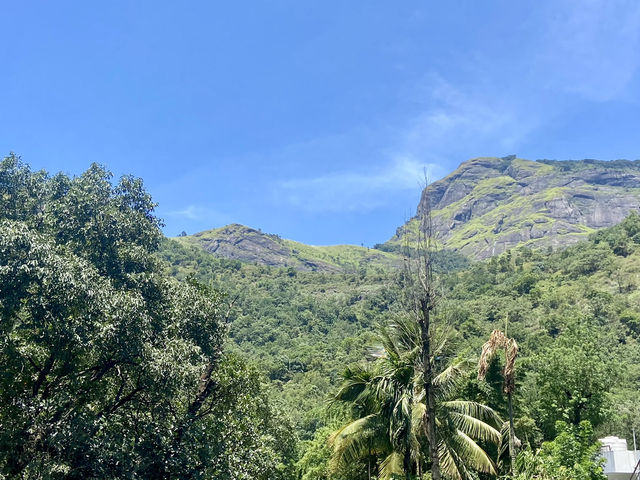 Munnar’s Cloud-Covered Hills 