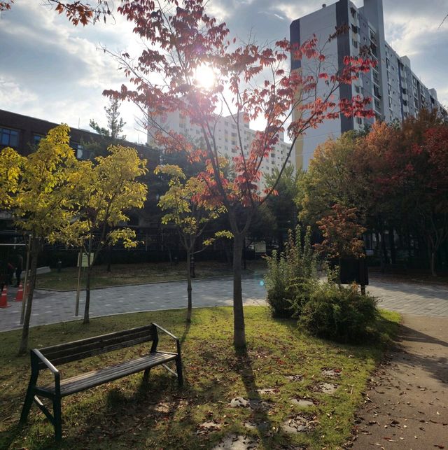 국내여행 대전 둔산동에 위치한 작고 예쁜 공원인 씨애틀공원