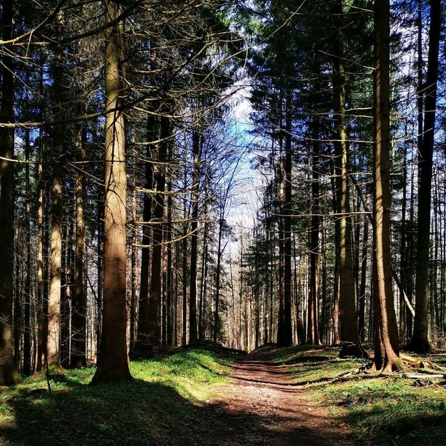 Exploring Mount Bürglen: A Journey through Zurich's Scenic Peaks