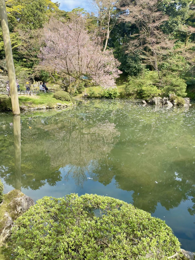 【金沢：兼六園】金沢旅なら外せない、兼六園で時間を忘れる癒しの散策🍃🚶
