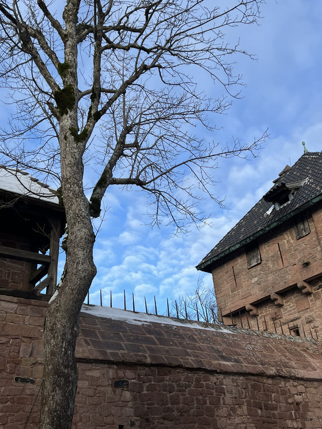 🇫🇷國王城堡 （Château du Haut-Kœnigsbourg） 🚩