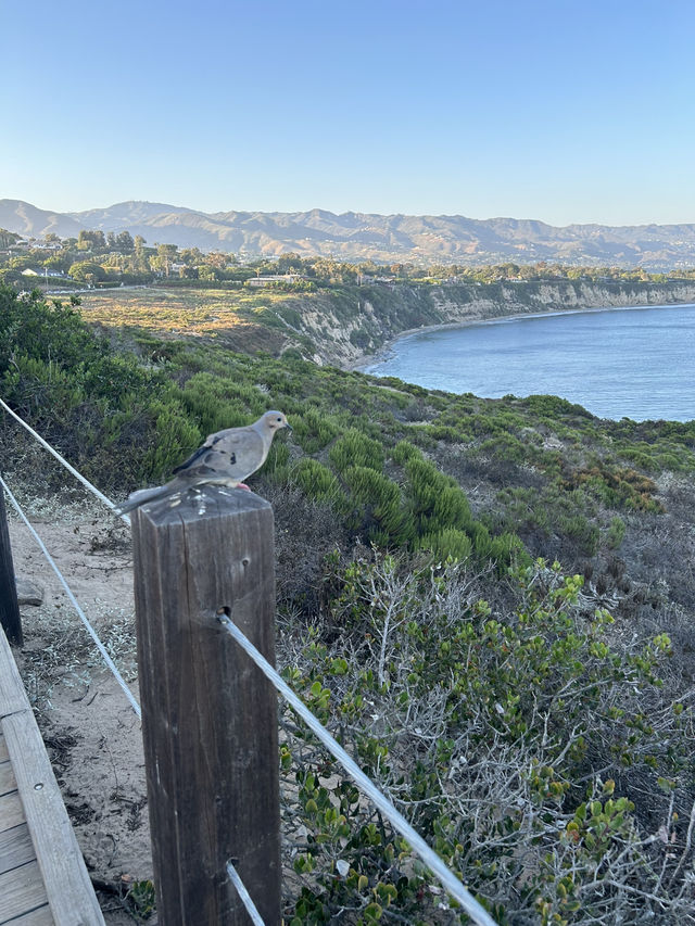 🌴 LA Layover: Coastal Escape from Santa Monica to Malibu 🌊