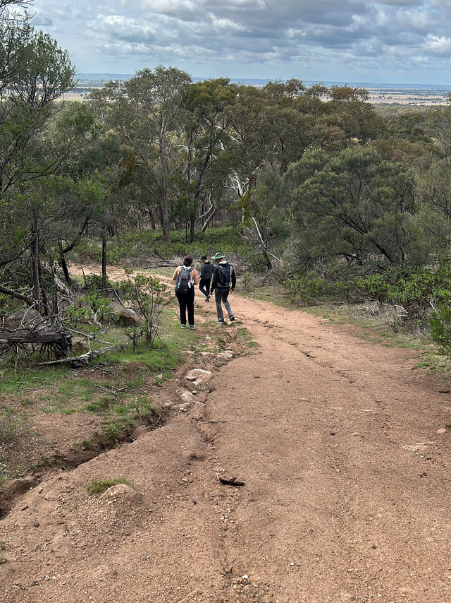 ⛰️🚴 Explore You Yangs Regional Park: Hiking & Biking Among Ancient Granite Peaks