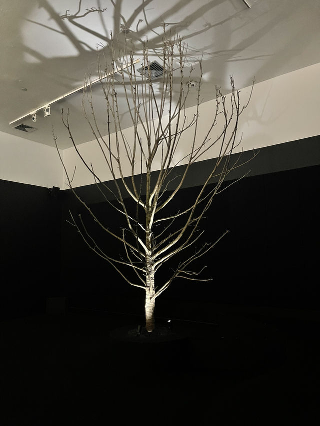 A stunning contemporary art museum in the heart of Bangkok