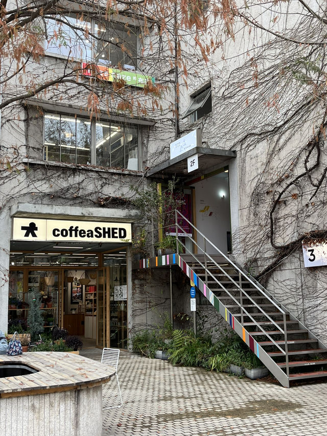 Shanghai | Brilliant Columbia Circle with chill vibe 