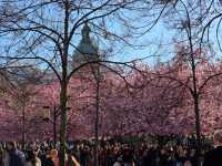 who would have thought?