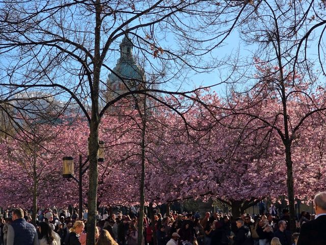 who would have thought? who would have thought?