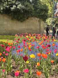 Whispers of Spring at Dawn | University of Nottingham 
