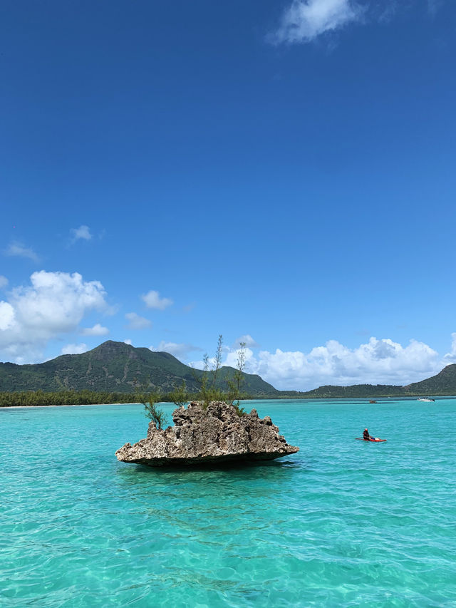 A Perfect Day in Paradise: Dolphins, Snorkelling & Crystal Rock in Mauritius