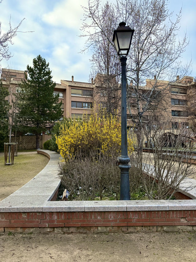 Garden to Gothic Day