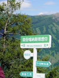 一步一景，千階之上｜新疆喀納斯觀魚台