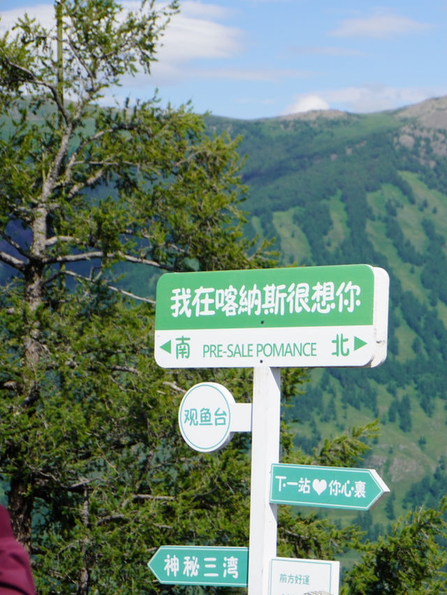 一步一景，千階之上｜新疆喀納斯觀魚台
