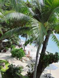 🌴 Koh Samui: Thailand’s Irresistible Tropical Poem 🐚🌺  