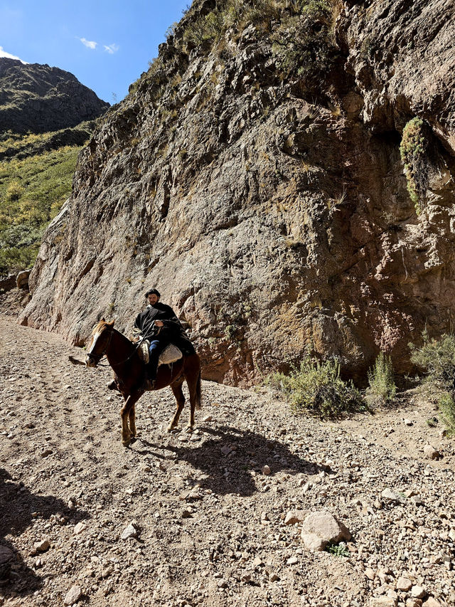 Why Horseback Riding in Mendoza Feels Like Galloping Through the Mediterranean