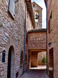  Whispers Among the Olive Trees – Collepino, Italy
