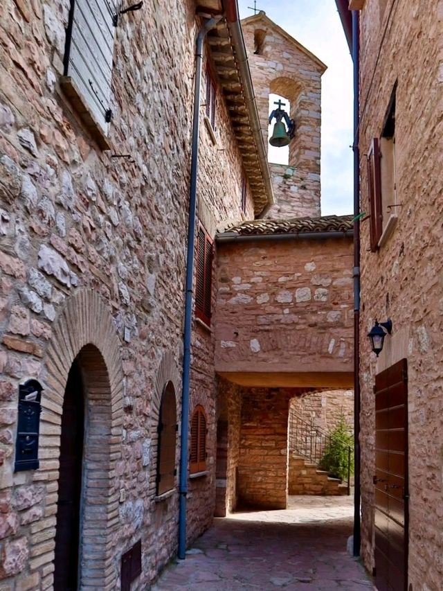  Whispers Among the Olive Trees – Collepino, Italy