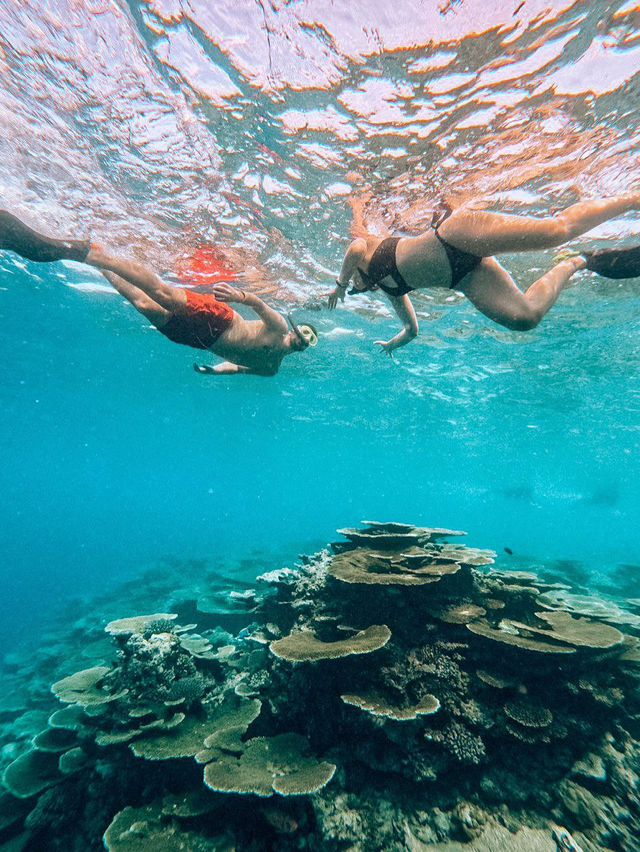 Snorkeling in the Maldives: What to Expect and How Much It Costs