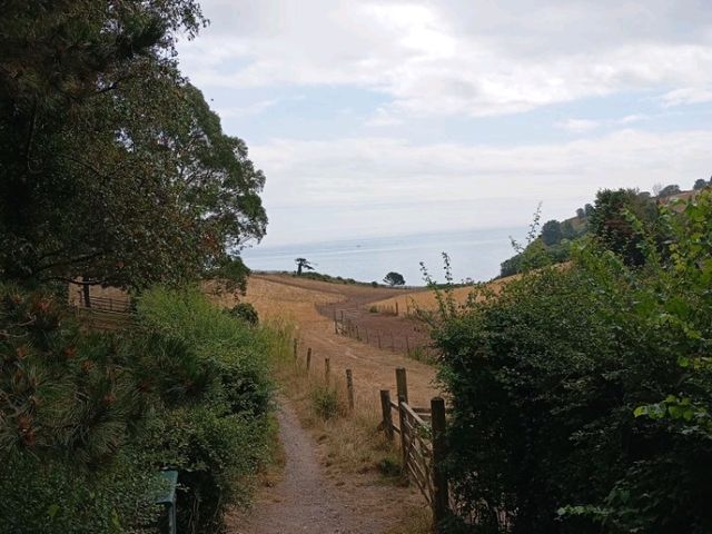 Highlights of my recent visit to Dawlish 