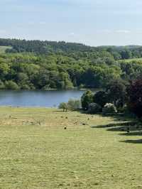 Leeds Day Trip | Harewood House 🏰 