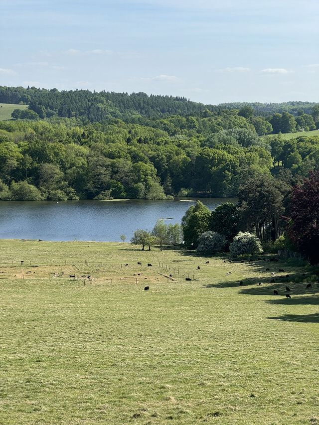 Leeds Day Trip | Harewood House 🏰 