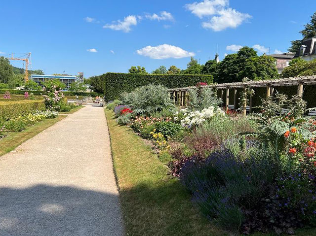 🌹✨ A Blooming Dream: Rose Garden of Baden-Baden, Germany 🇩🇪🌿   🌹✨ A Blooming Dream: Rose Garden of Baden-Baden, Germany 🇩🇪🌿
