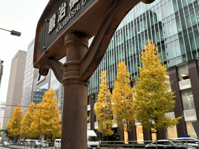 Tokyo itinerary for the best blend of city views, fresh eats, and chill urban energy