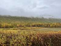 Kungsleden trail