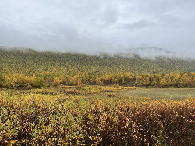 Kungsleden trail