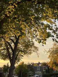 Autumn in the Netherlands🍂🤎🧡
