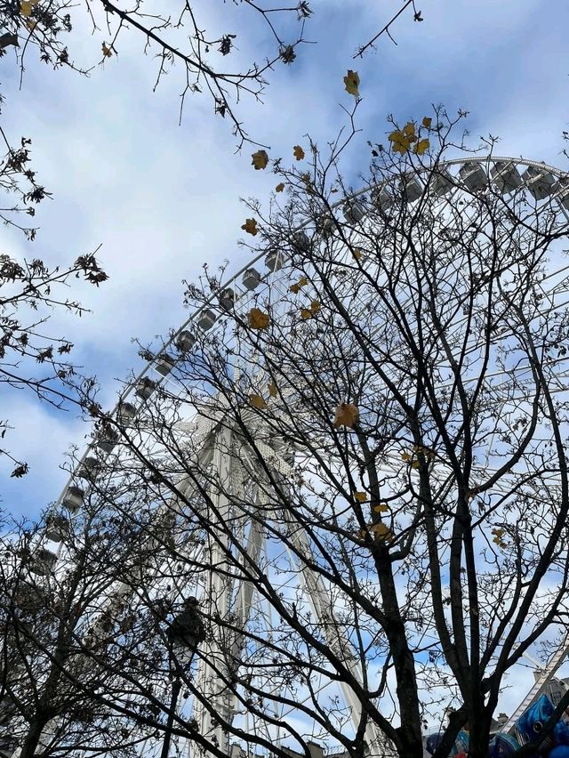 Exploring Paris’ 8th Arrondissement: Must-Dos & Halloween Fun 🎃