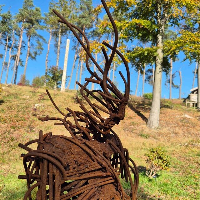 The Himalayan Garden & Sculpture Park