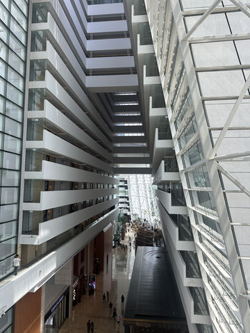 getting ready for Christmas! ✨🎁 getting ready for Christmas! ✨🎁