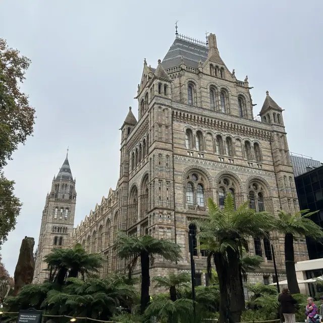 🏛️🦕🇬🇧 A Journey Through Time and Wonder ✨