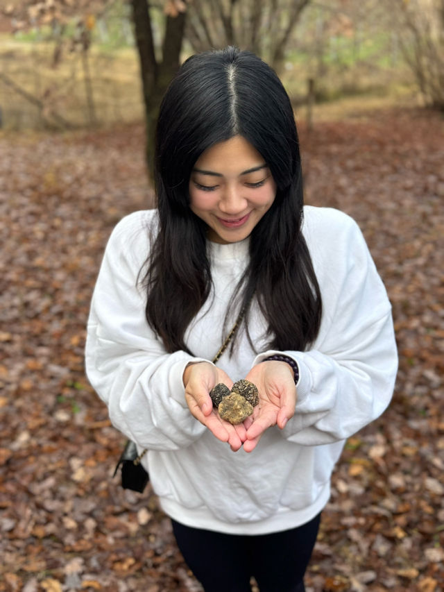 Magical morning in Alba hunting truffle