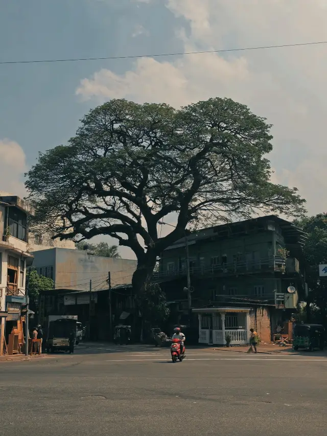 Exploring Colombo in Two Days 🇱🇰