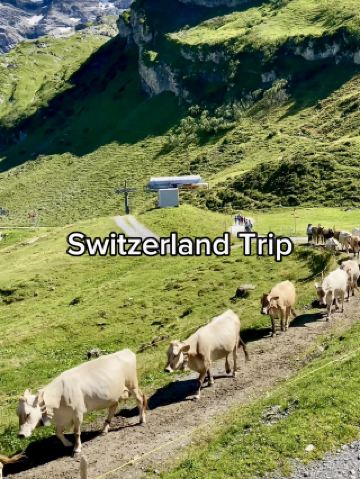 湖泊和高山草甸