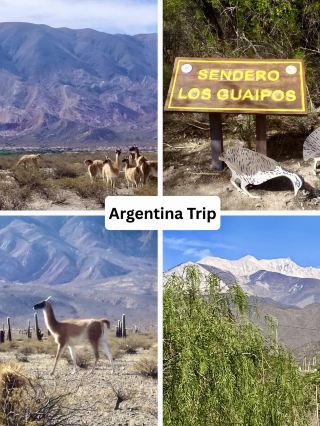 ดวงดาวแห่งทะเลทรายเหนือเทือกเขาแอนดีส