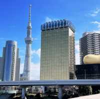 Tallest Tower in the World; Tokyo Skytree 🗼🇯🇵